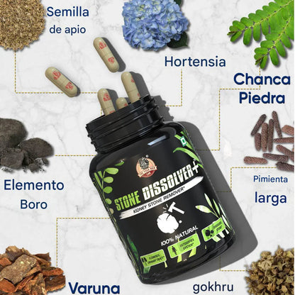 STONE DISSOLVER Suplemento Renal 100% Natural + ENVIO GRATIS
