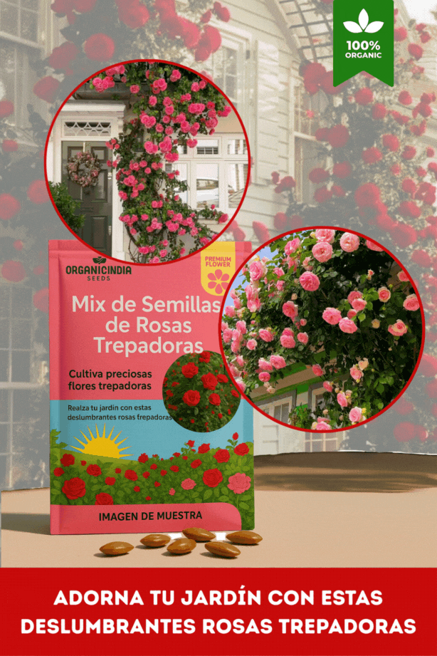 Organicidia® - Semillas Mixtas de Rosas Trepadoras X 100 Semillas
