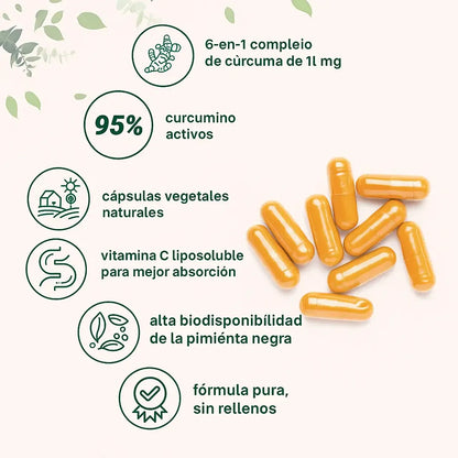 El Antiinflamatorio Natural Más Potente – Cúrcuma 95%